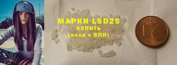 молекула духа Вяземский