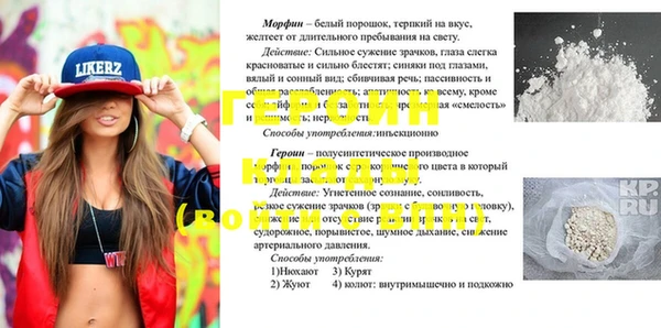 молекула духа Вяземский