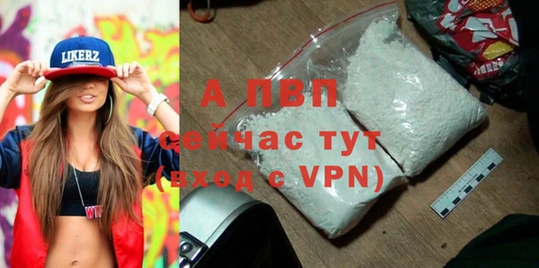 молекула духа Вяземский