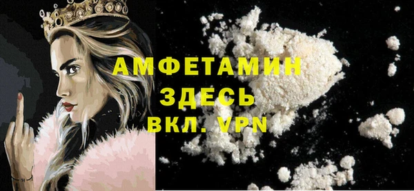 молекула духа Вяземский
