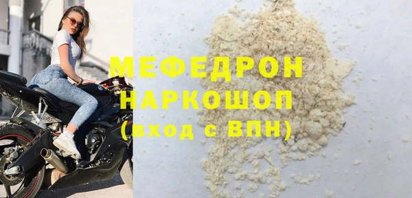 молекула духа Вяземский