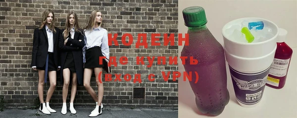 молекула духа Вяземский