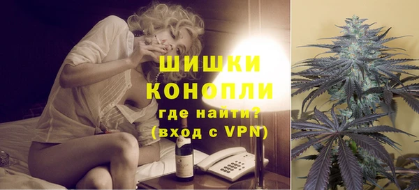 молекула духа Вяземский
