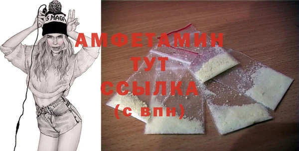 молекула духа Вяземский
