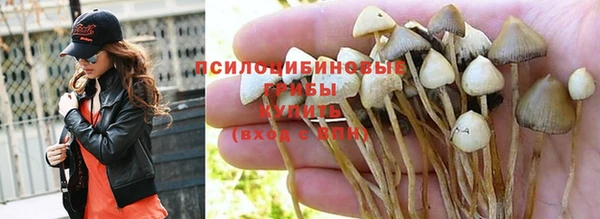 амф Вязники