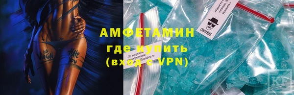 молекула духа Вяземский