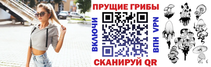 продажа наркотиков  Змеиногорск  MEGA онион  Псилоцибиновые грибы MAGIC MUSHROOMS 