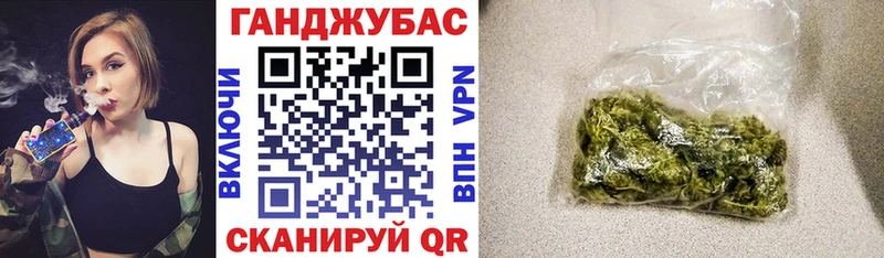купить наркотики сайты  Змеиногорск  Конопля сатива 